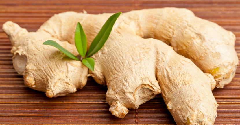 Ingredient Spotlight: Ginger Benefits for Dogs